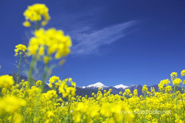 長野　安曇野