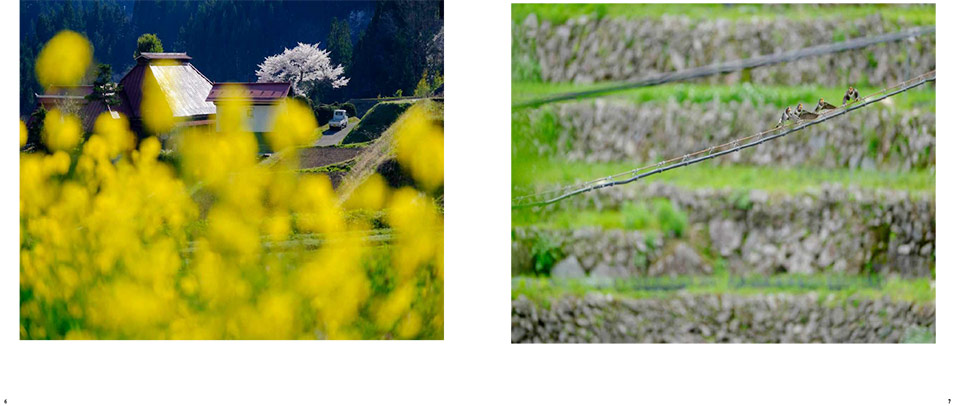 風景写真集