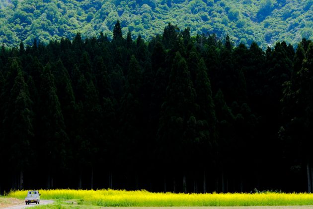 風景写真