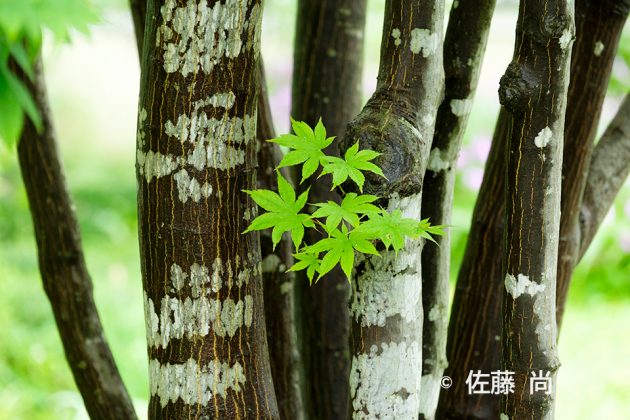 戸田市写真展