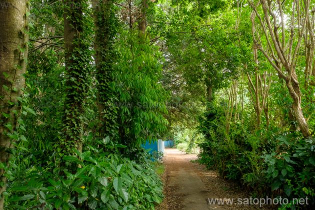 見沼自然公園