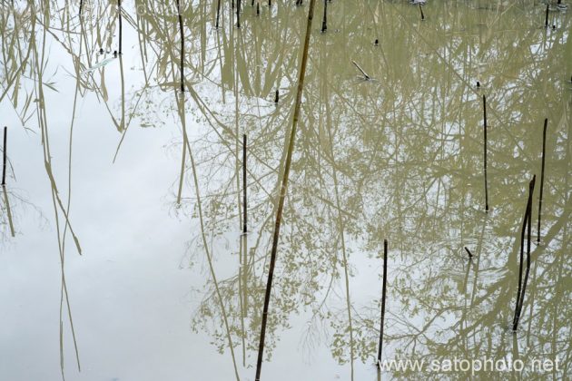秋ヶ瀬