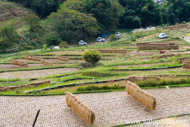 軽トラックのある風景