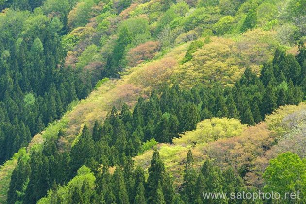 秋山郷
