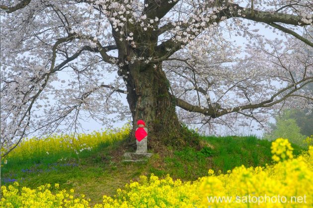 風景写真