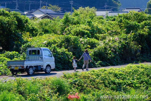 軽トラック