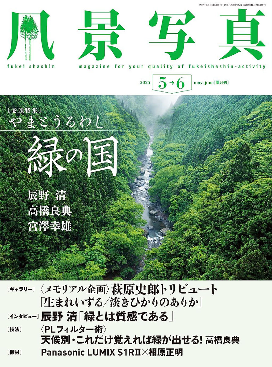 風景写真