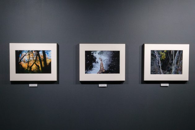 ぼくとさいたま