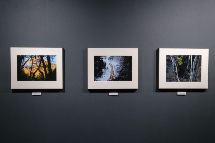 ぼくとさいたま